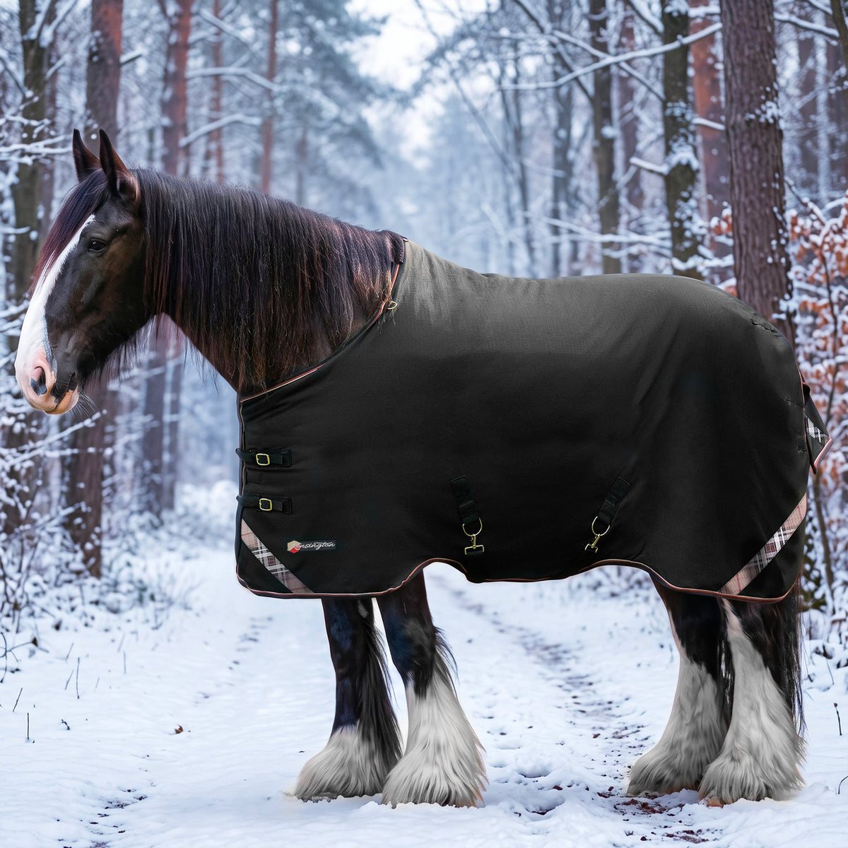 Kensington midweight 180g draft horse winter turnout blanket in black