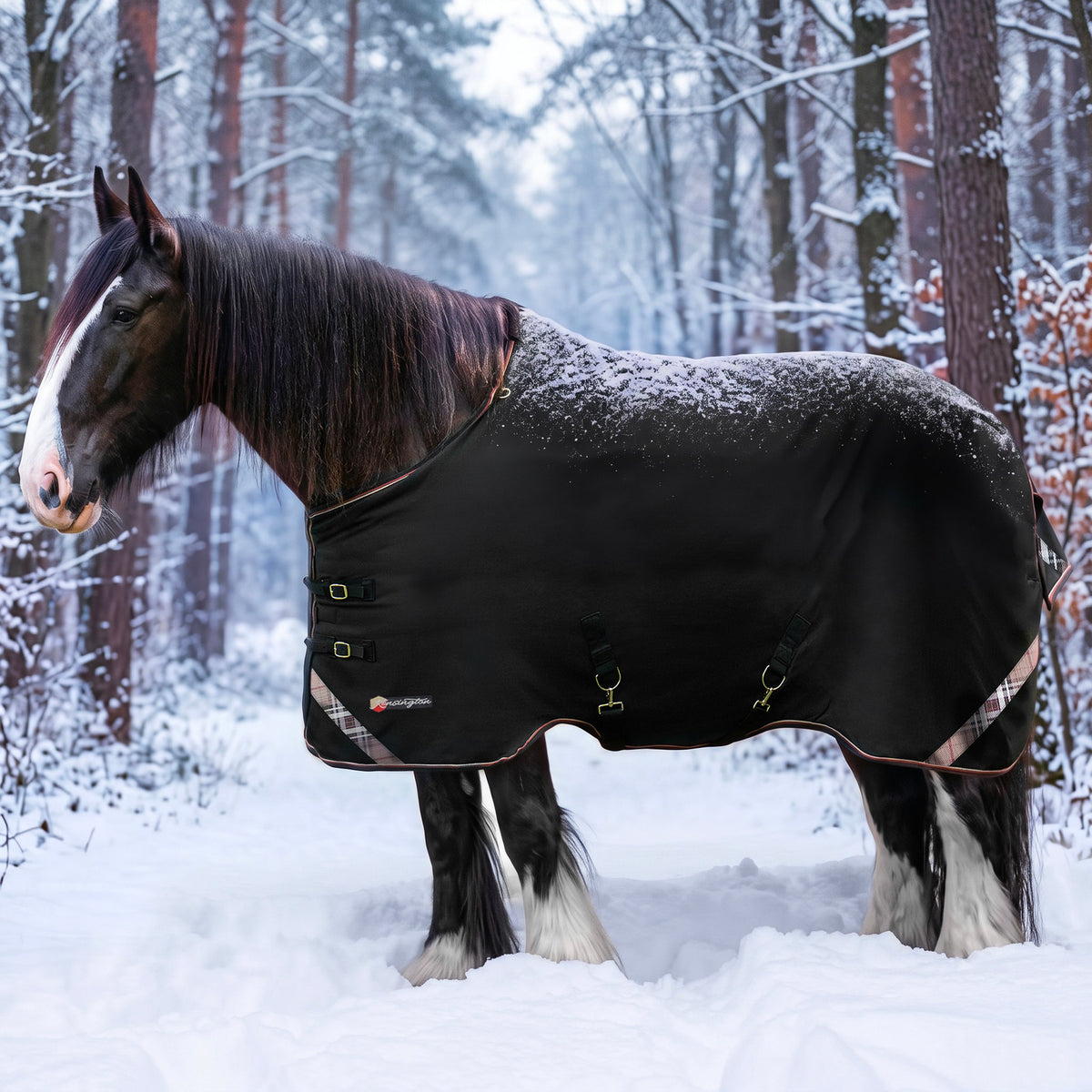 Kensington heavyweight 300g draft horse winter turnout blanket in black