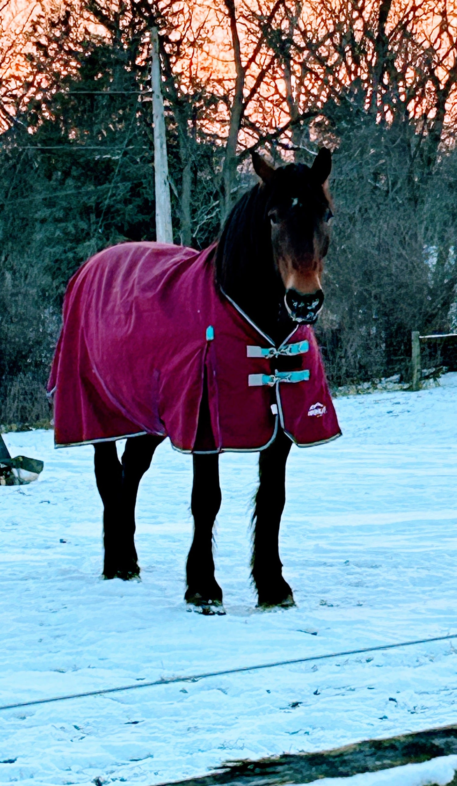 Cold Weather Gear