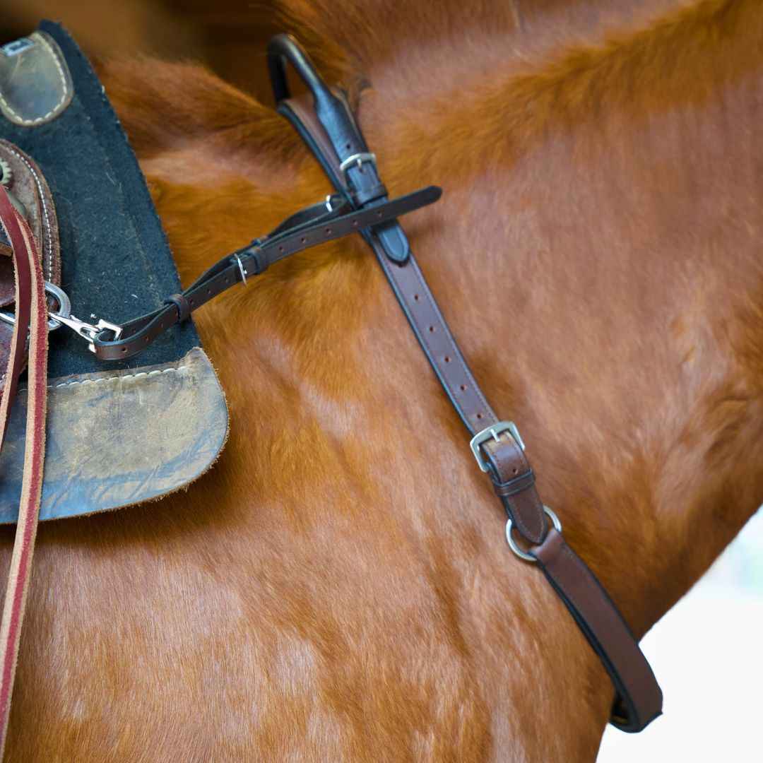 Double Neck Strap