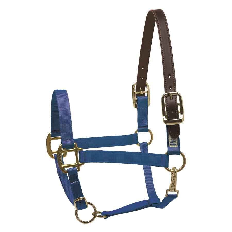 Draft Horse Safety Halter - Your Essential Breakaway Solution