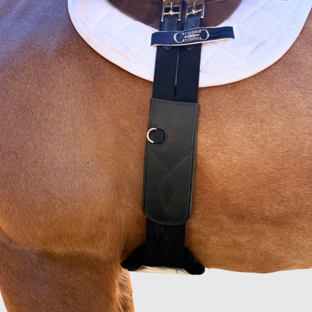 Pressure Relief Comfort Long Girth in Black