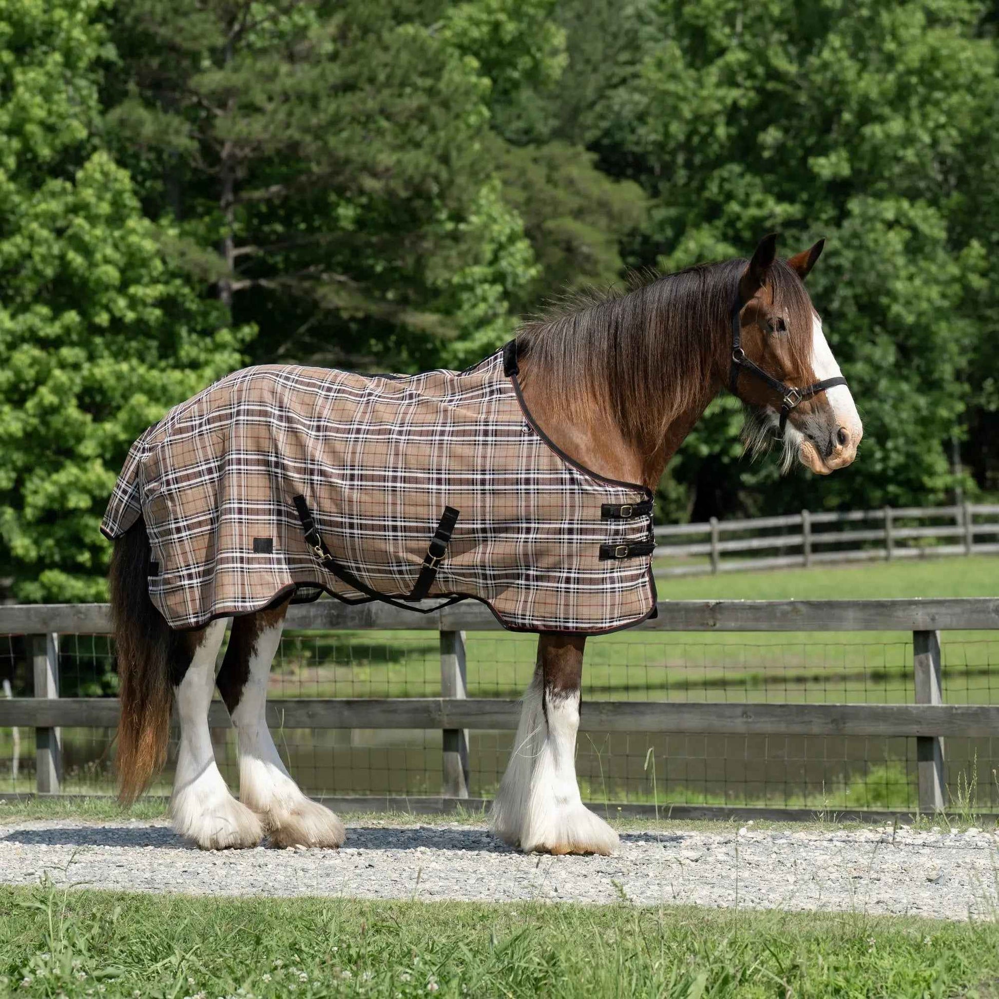 Draft Horse Fly Sheet - 73% UV Protection & Breathable Comfort