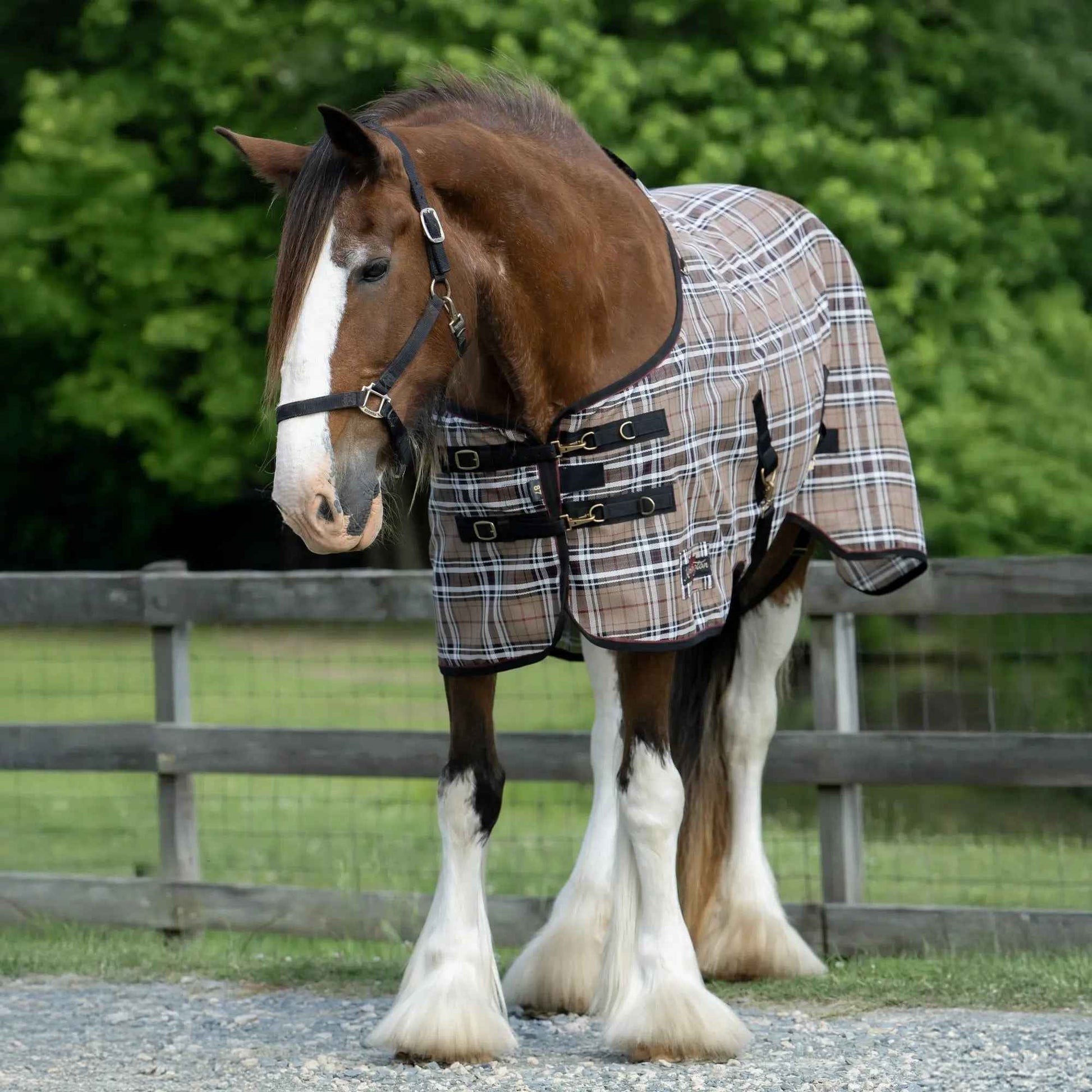 Draft Horse Fly Sheet - 73% UV Protection & Breathable Comfort