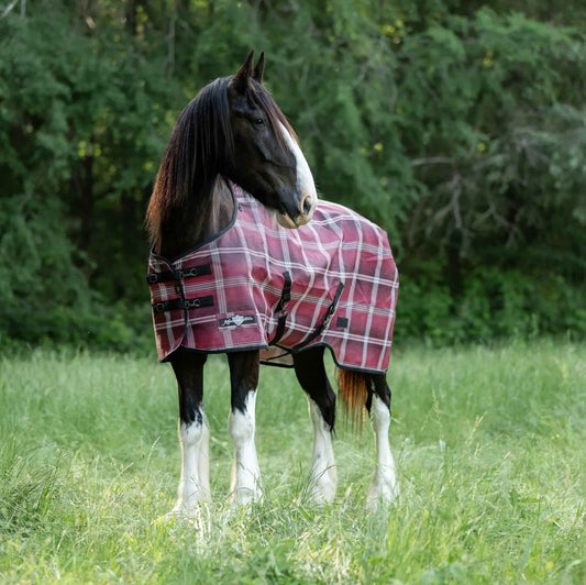 Draft Horse Fly Sheet - 73% UV Protection & Breathable Comfort