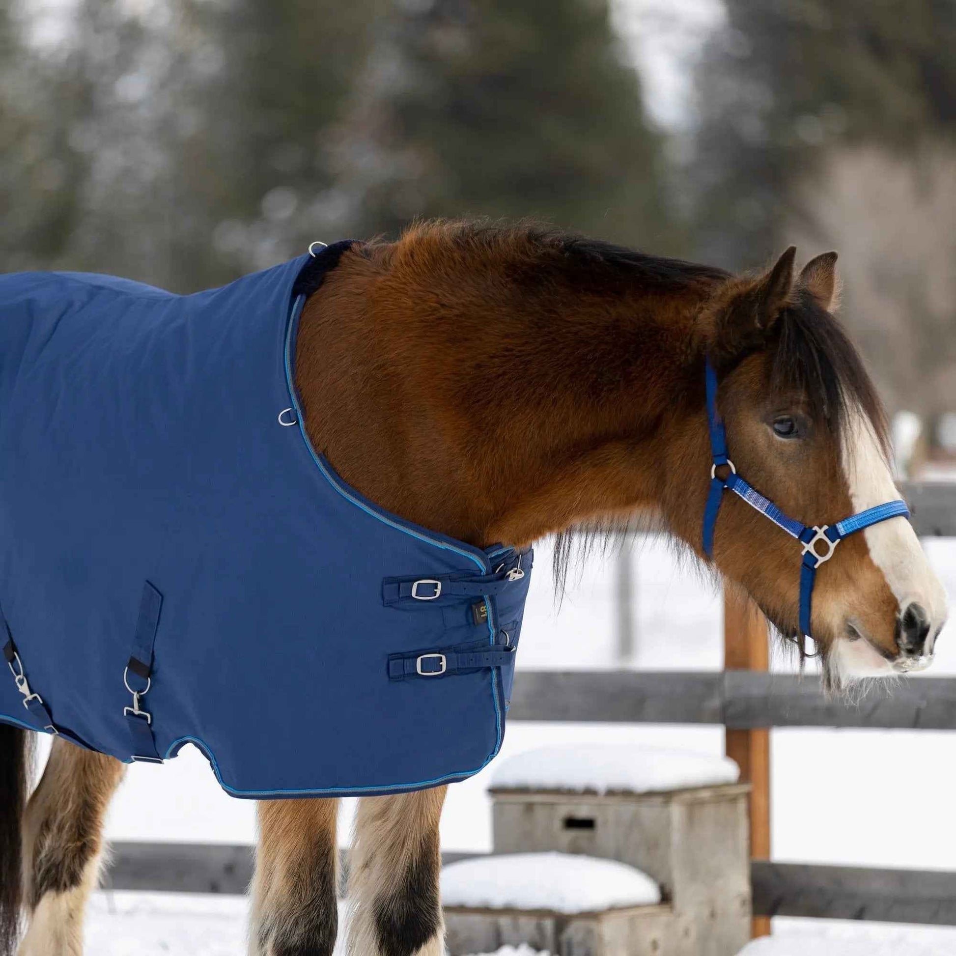 Draft Horse Winter Turnout Blanket - Midweight 180g