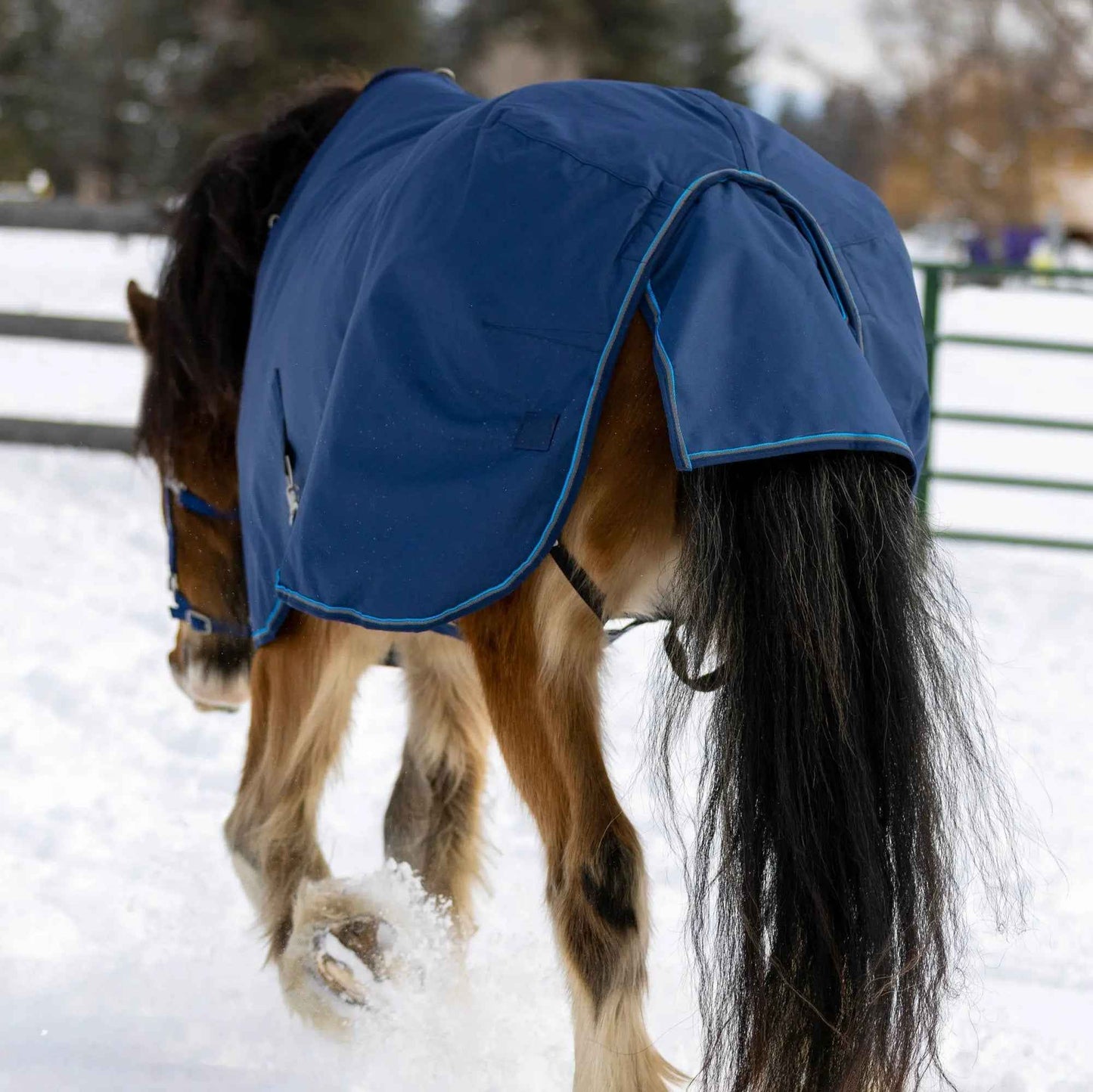 Draft Horse Winter Turnout Blanket - Midweight 180g