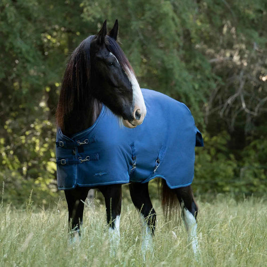 Lightweight Winter Turnout Blanket for Draft Horses - 80g Insulation, Waterproof & Breathable Comfort