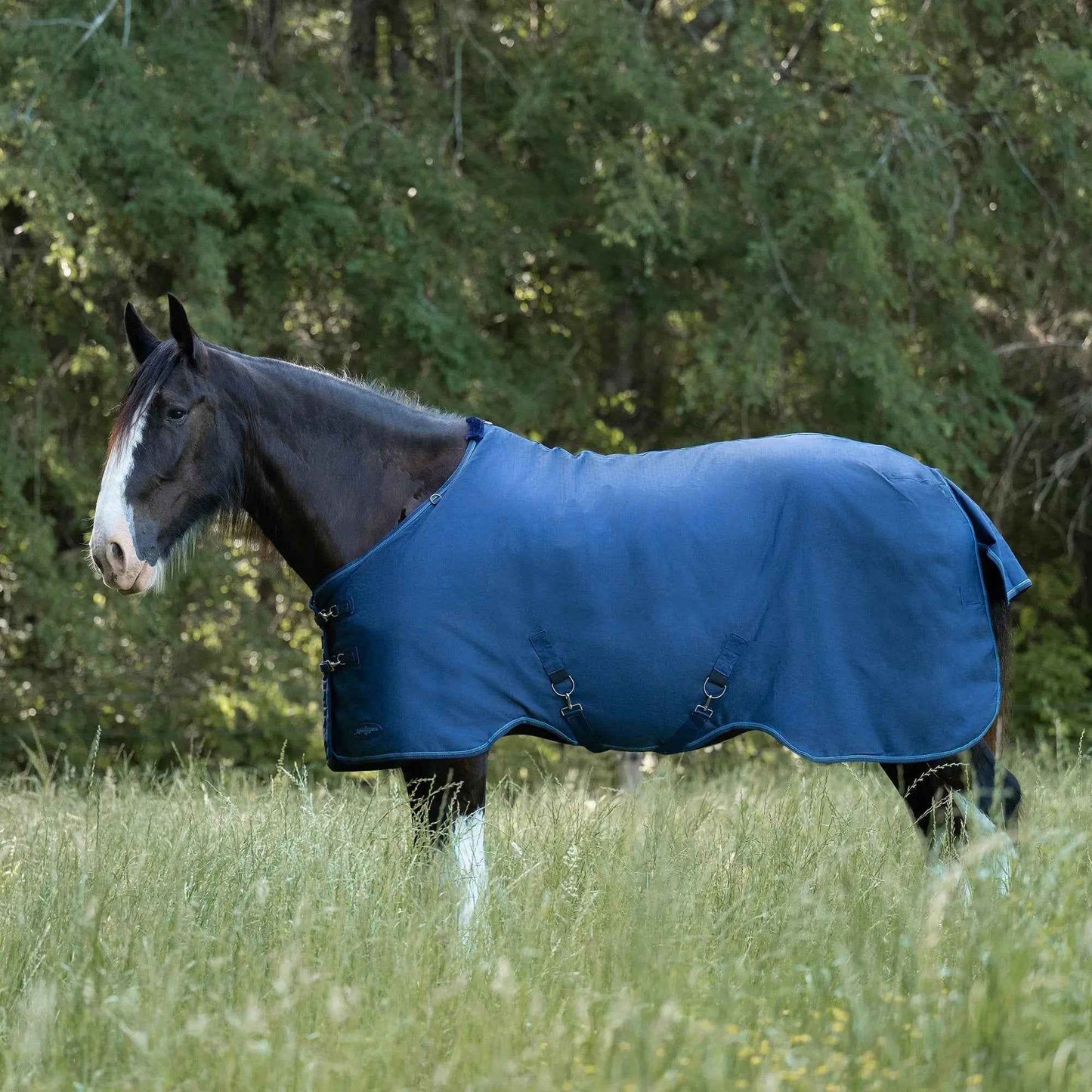 Lightweight Winter Turnout Blanket for Draft Horses - 80g Insulation, Waterproof & Breathable Comfort