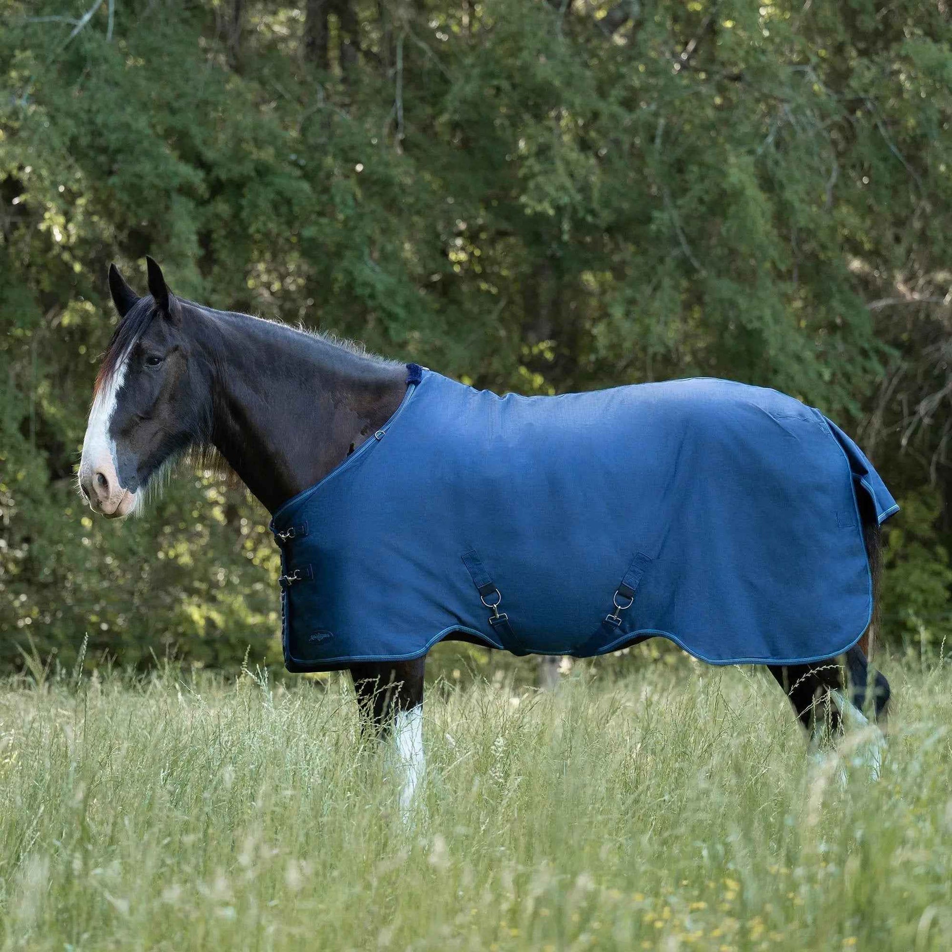 Lightweight Winter Turnout Blanket for Draft Horses - 80g Insulation, Waterproof & Breathable Comfort