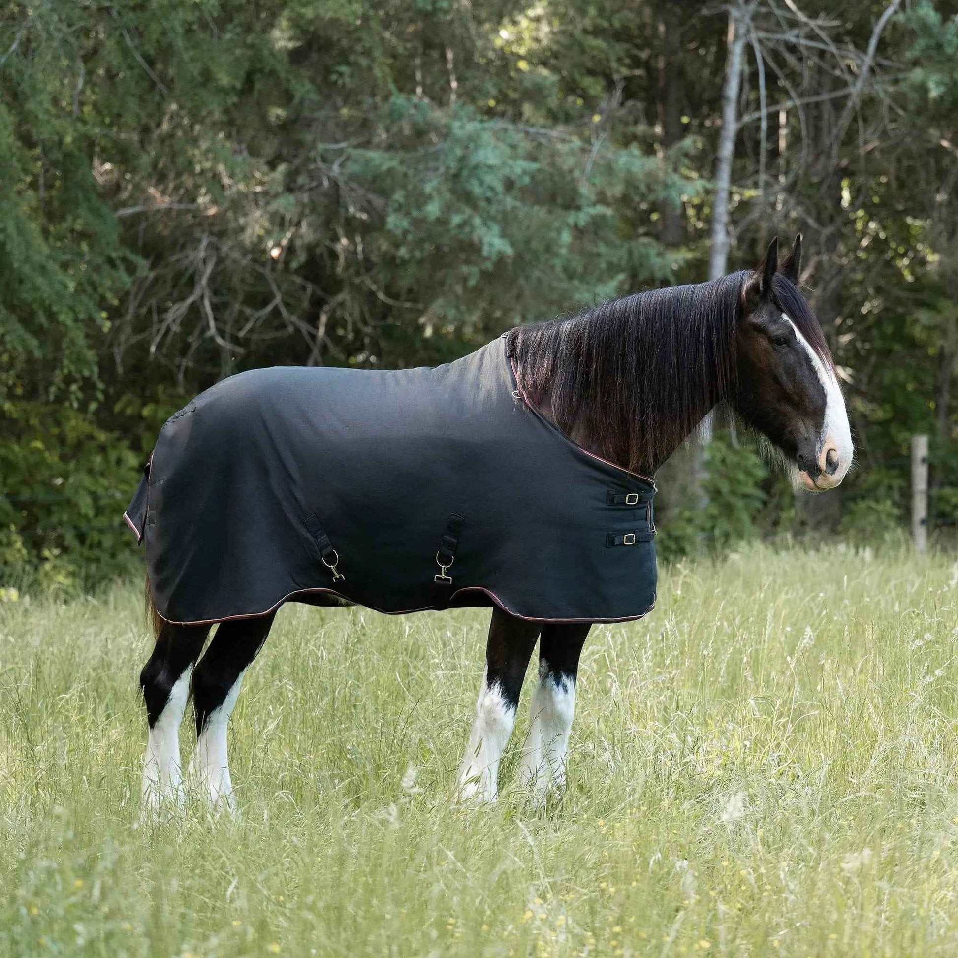 Lightweight Winter Turnout Blanket for Draft Horses - 80g Insulation, Waterproof & Breathable Comfort