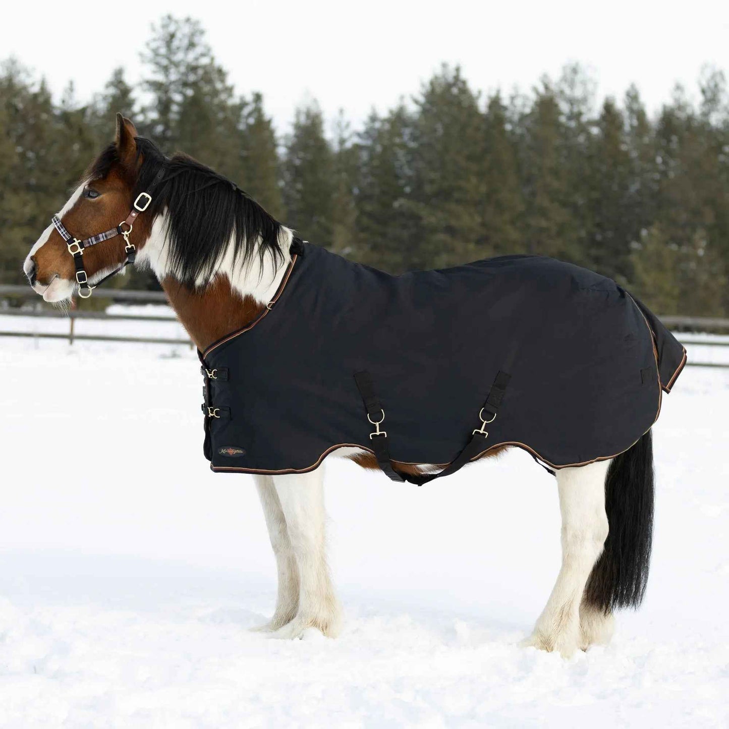 Draft Horse Winter Turnout Blanket - Midweight 180g