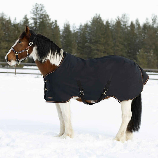 Draft Horse Winter Turnout Blanket - Midweight 180g