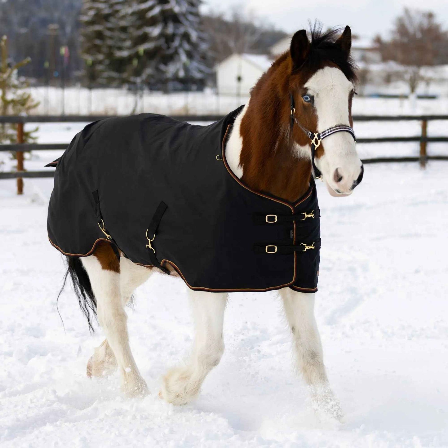 Draft Horse Winter Turnout Blanket - Midweight 180g