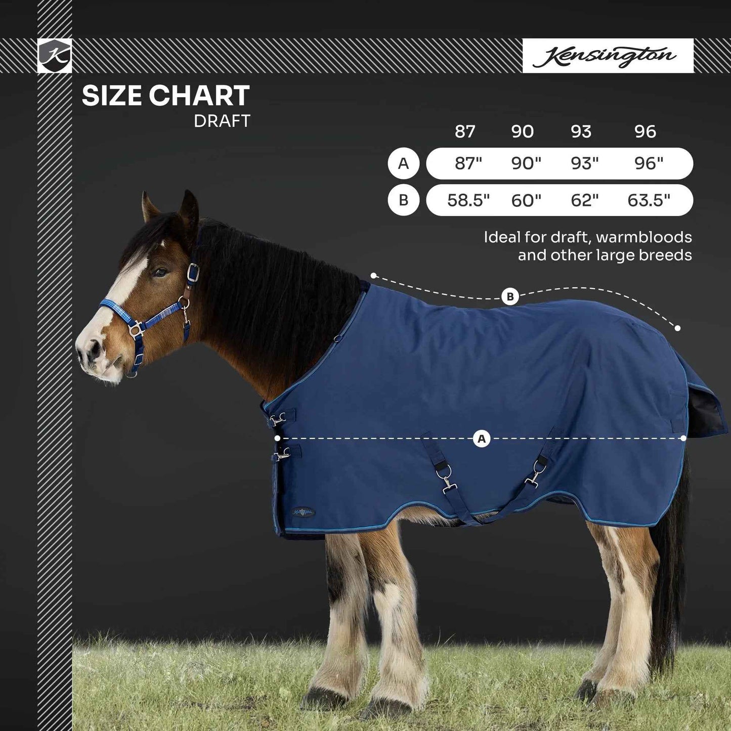 Lightweight Winter Turnout Blanket for Draft Horses - 80g Insulation, Waterproof & Breathable Comfort