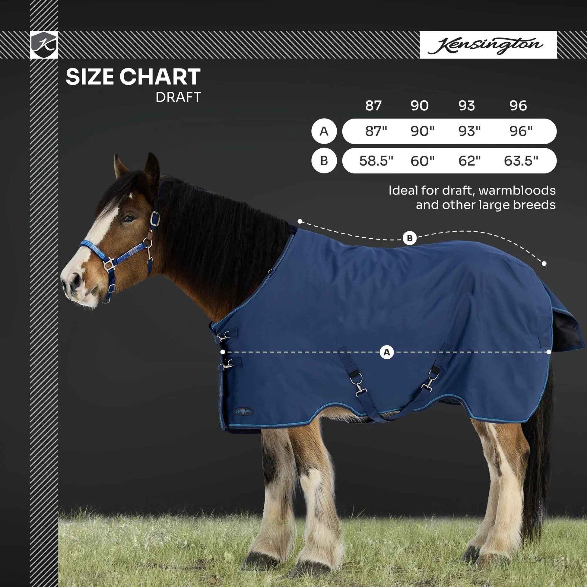 Lightweight Winter Turnout Blanket for Draft Horses - 80g Insulation, Waterproof & Breathable Comfort