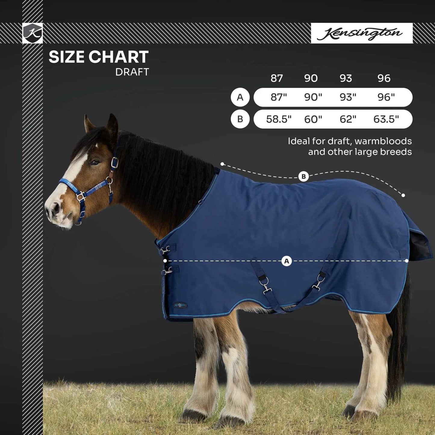 Draft Horse Winter Turnout Blanket - Midweight 180g