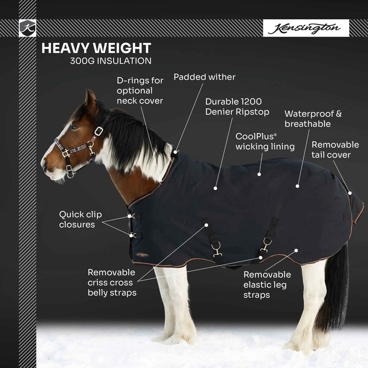 Draft Horse Heavyweight 300g Winter Turnout Blanket - Waterproof & Breathable