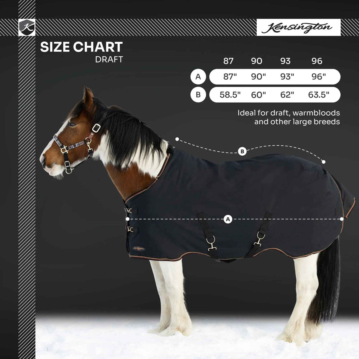 Draft Horse Heavyweight 300g Winter Turnout Blanket - Waterproof & Breathable