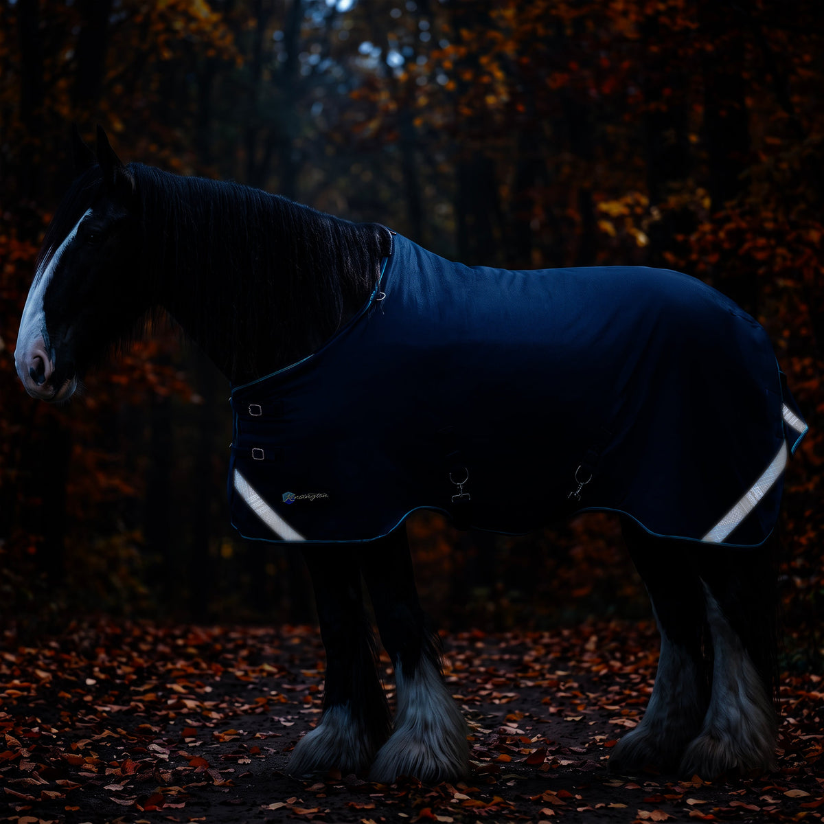 Kensington lightweight 80g draft horse winter turnout blanket, full view