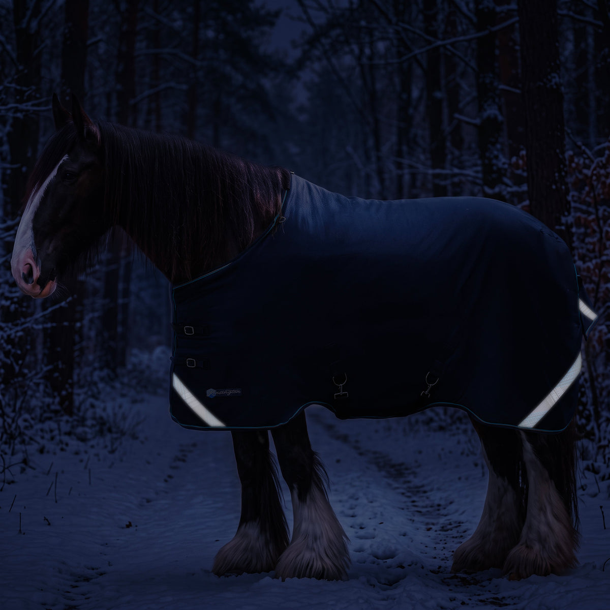 Kensington midweight 180g draft horse winter turnout blanket, full view