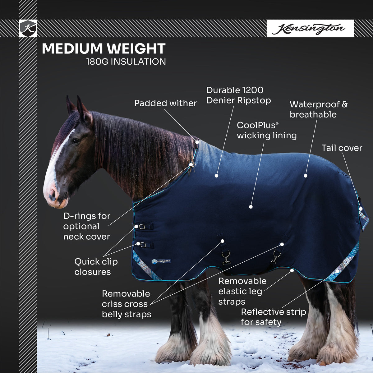 Kensington midweight 180g draft horse winter turnout blanket features overview