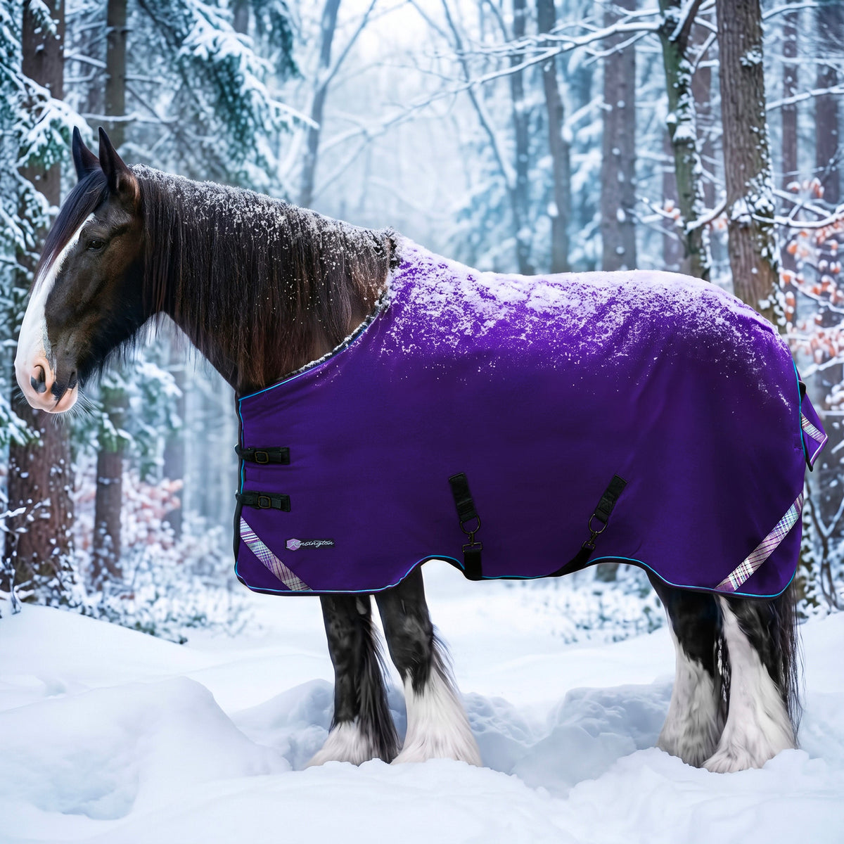 Kensington heavyweight 300g draft horse winter turnout blanket in purple