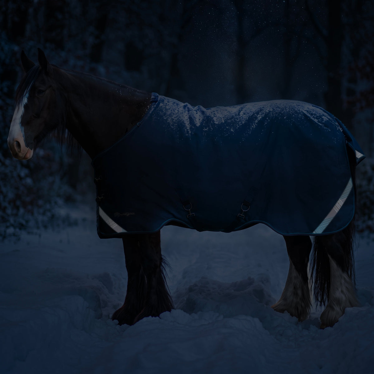 Kensington heavyweight 300g draft horse winter turnout blanket, full view