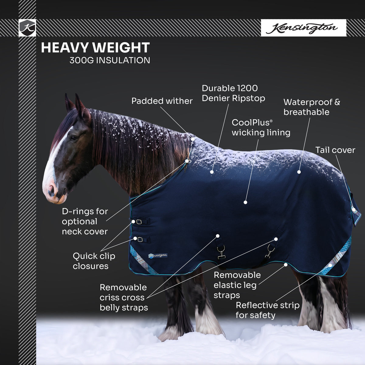 Kensington heavyweight 300g draft horse winter turnout blanket features overview