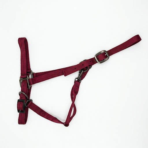 Draft Horse Adjustable Nylon Halter in Burgundy