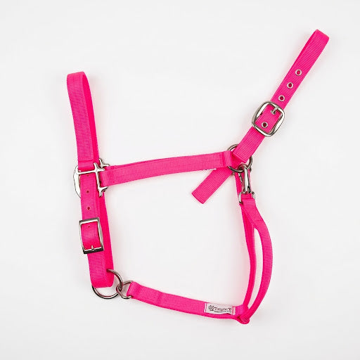 Draft Horse Adjustable Nylon Halter in Hot Pink