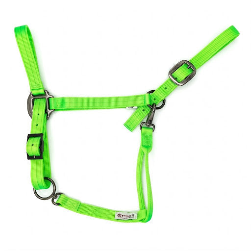 Draft Horse Adjustable Nylon Halter in Lime Green