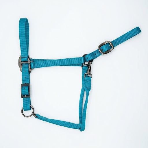 Draft Horse Adjustable Nylon Halter in Teal