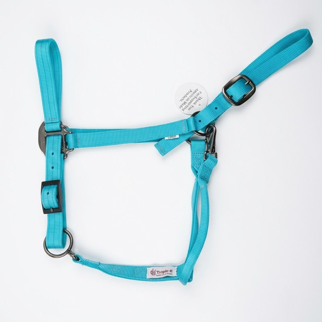 Draft Horse Adjustable Nylon Halter in Turquoise