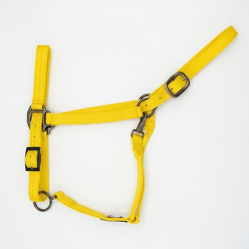 Draft Horse Adjustable Nylon Halter in Yellow