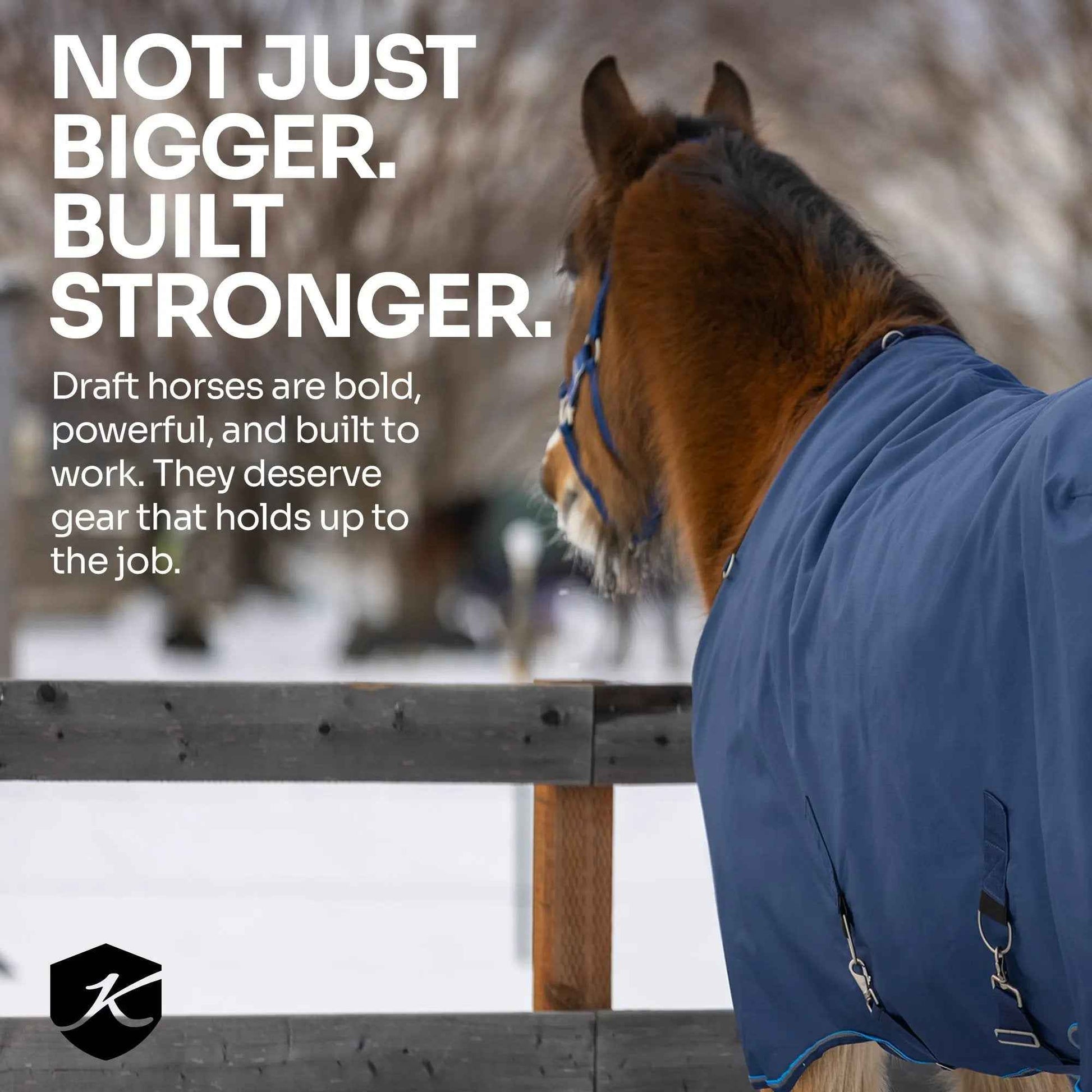 Lightweight Winter Turnout Blanket for Draft Horses - 80g Insulation, Waterproof & Breathable Comfort