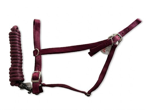 Parker Draft Horse Halter