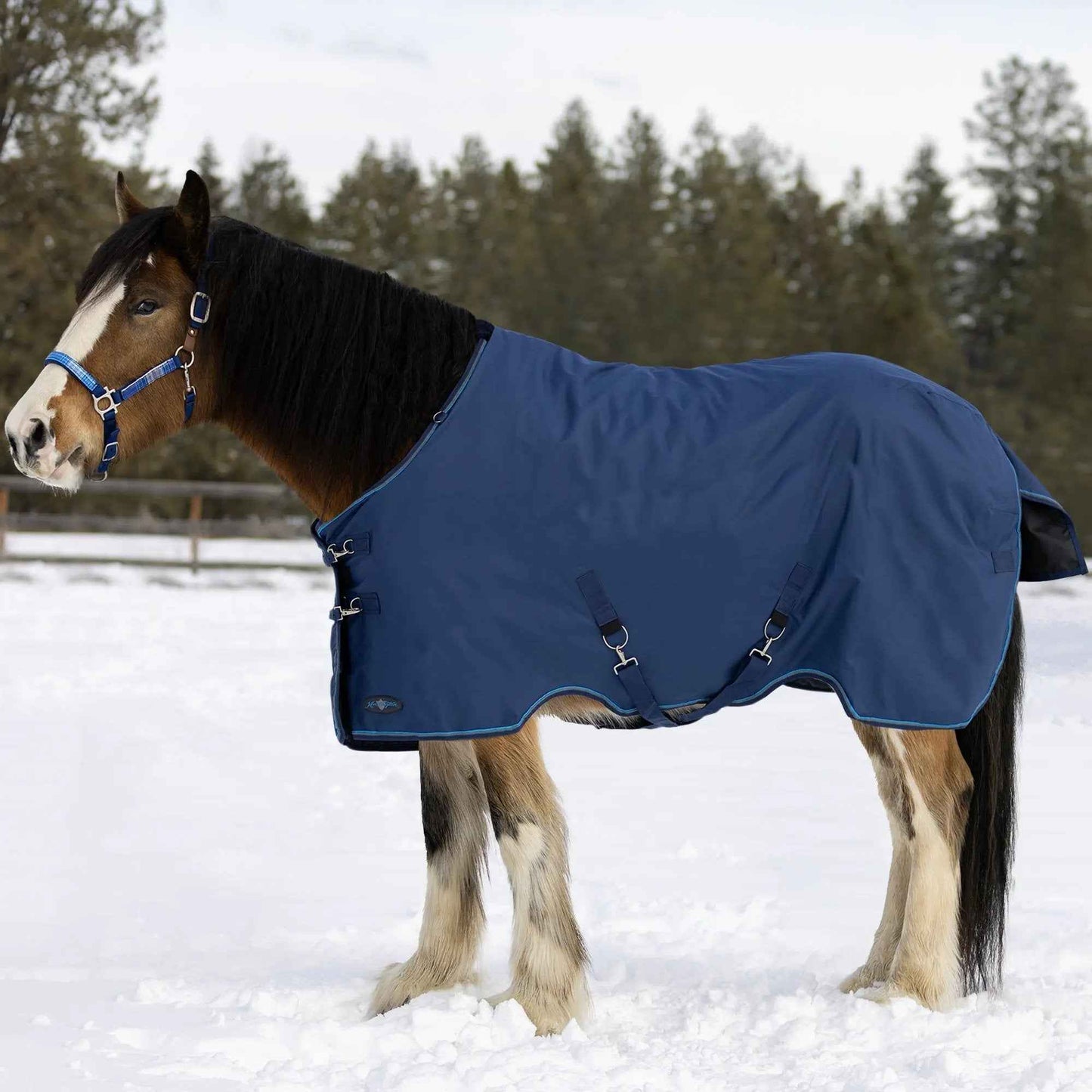 Draft Horse Winter Turnout Blanket - Midweight 180g