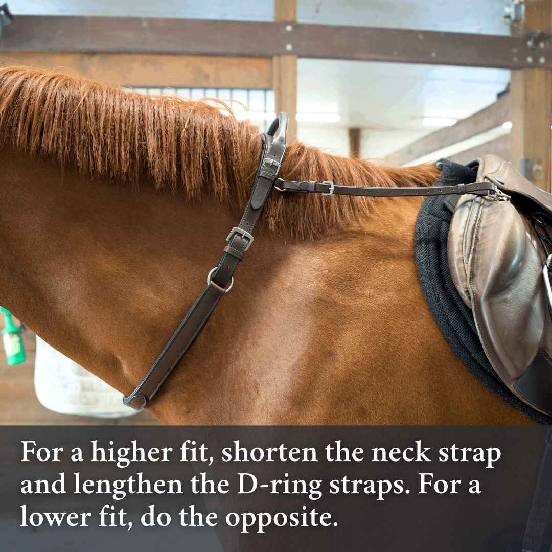 Double Neck Strap