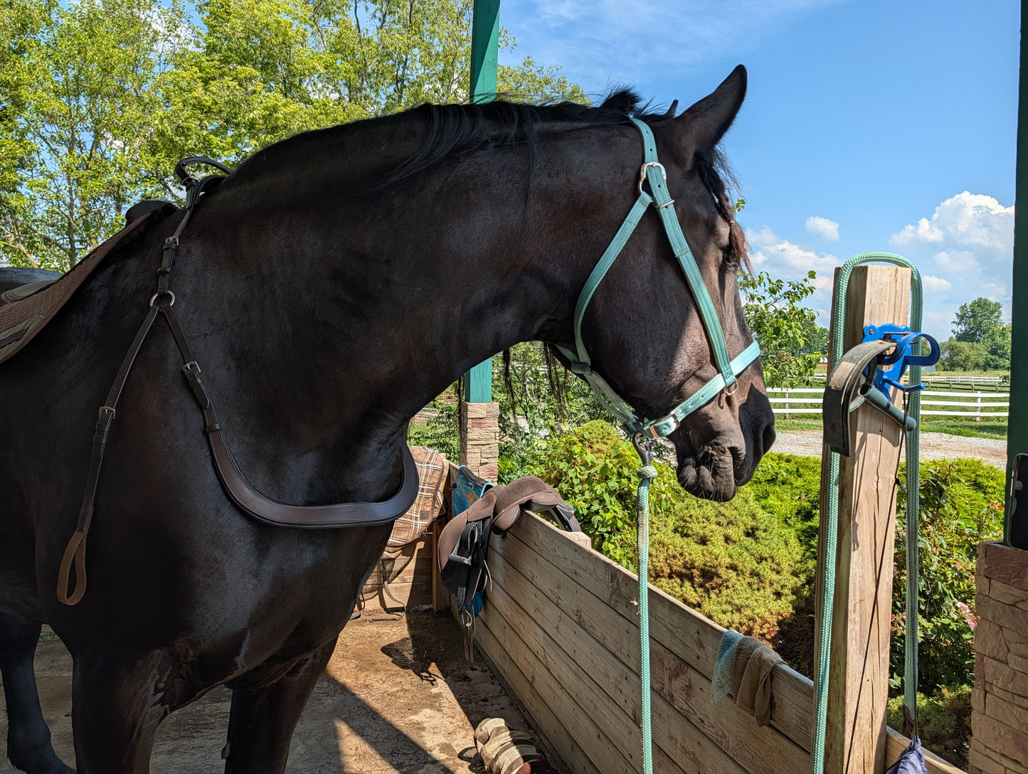 Free Motion Breastplate for Drafts & Warmbloods