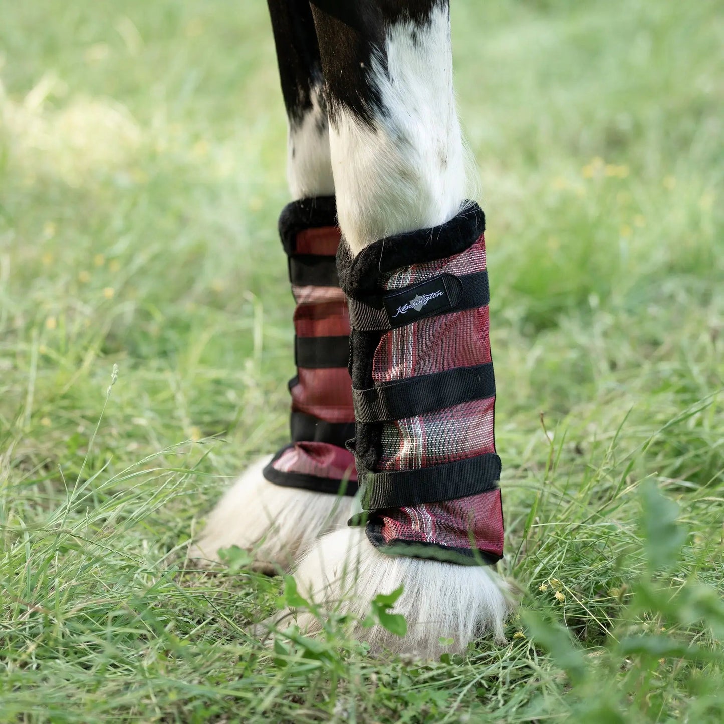 Draft Horse Fly Boots