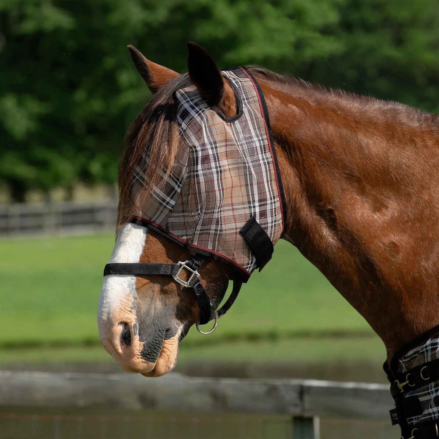 Draft Horse Fly Mask with 73% UV Protection