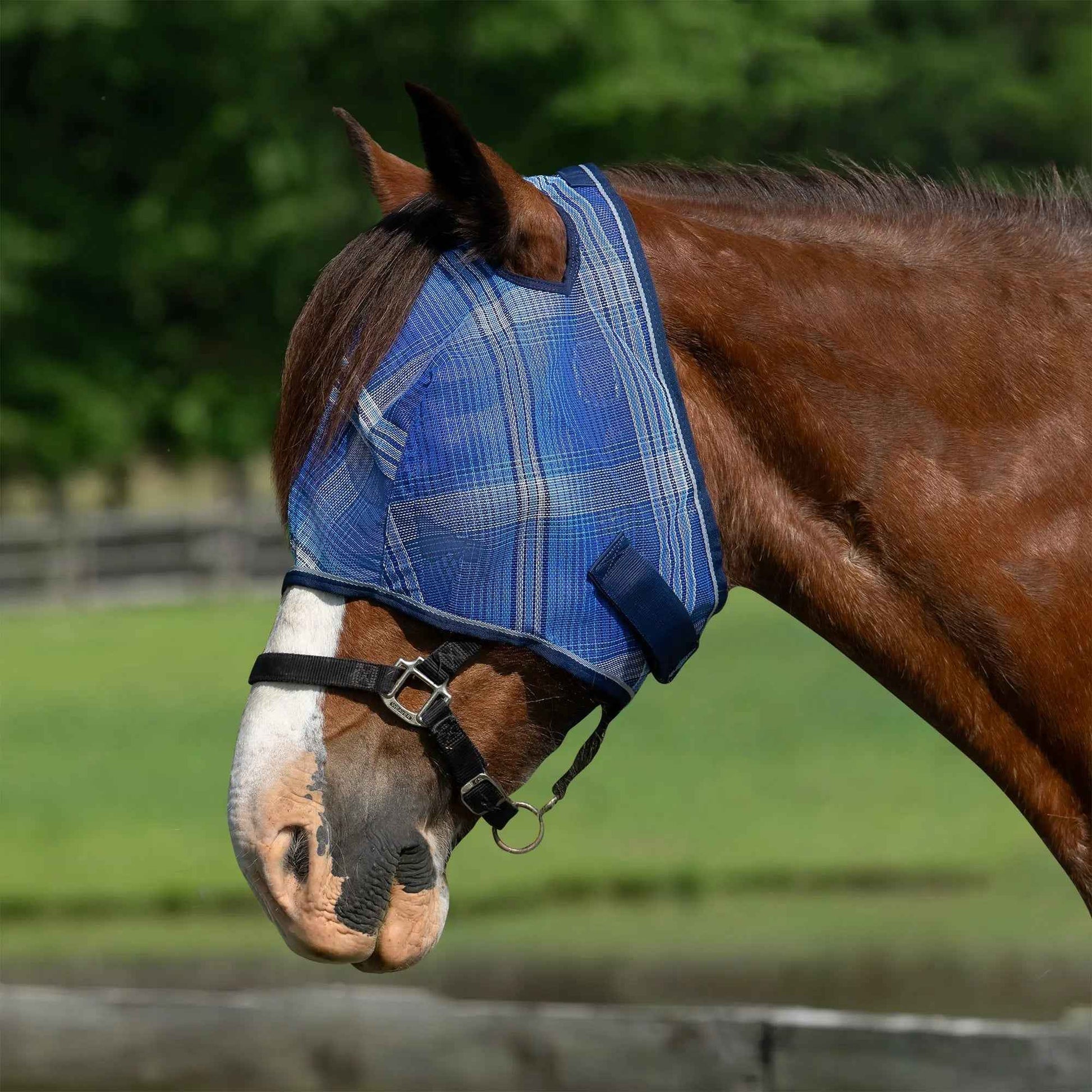 Draft Horse Fly Mask with 73% UV Protection