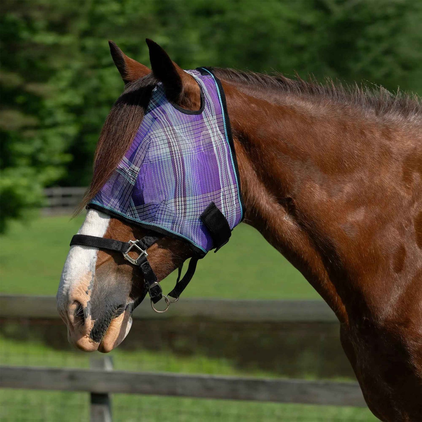 Draft Horse Fly Mask with 73% UV Protection