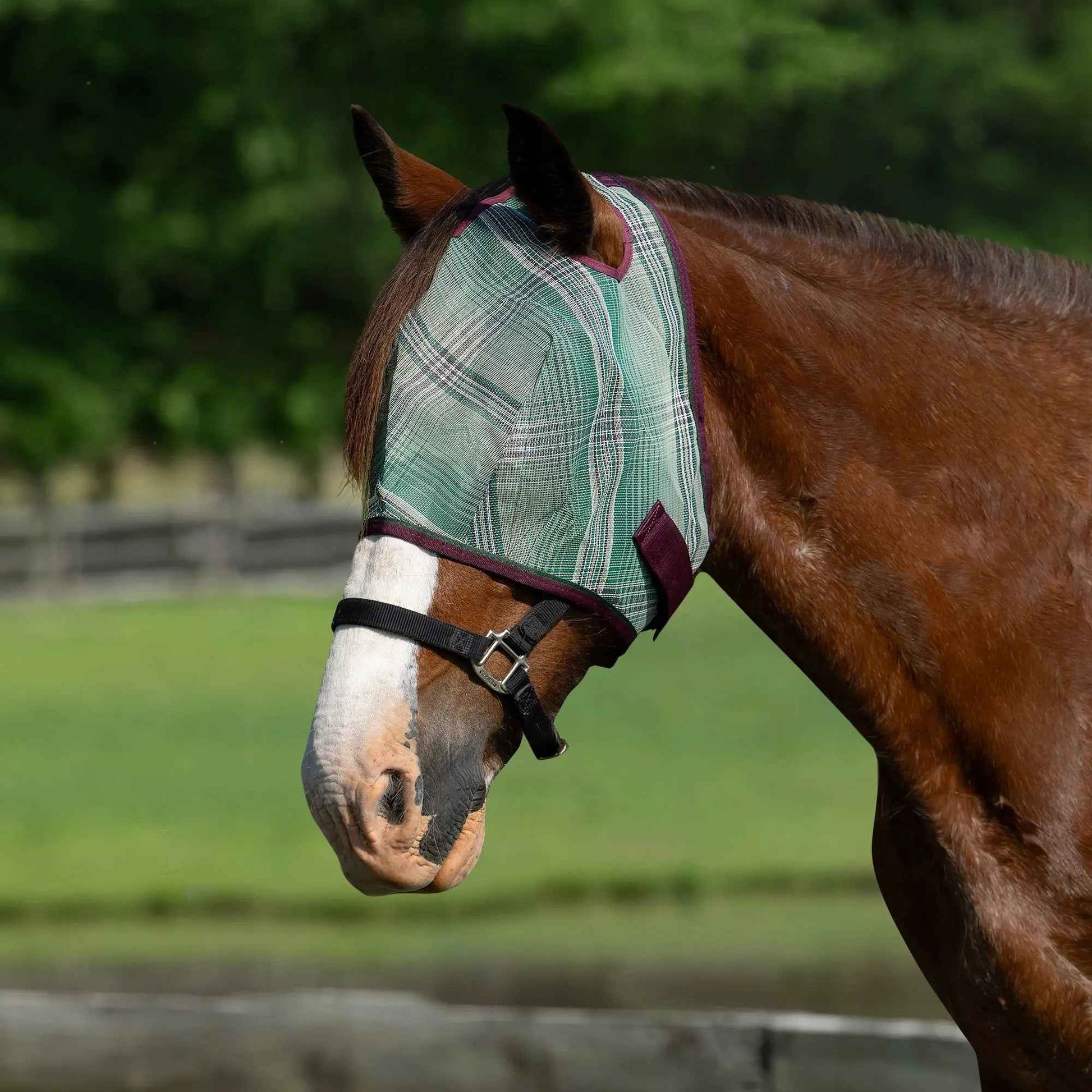 Draft Horse Fly Mask with 73% UV Protection