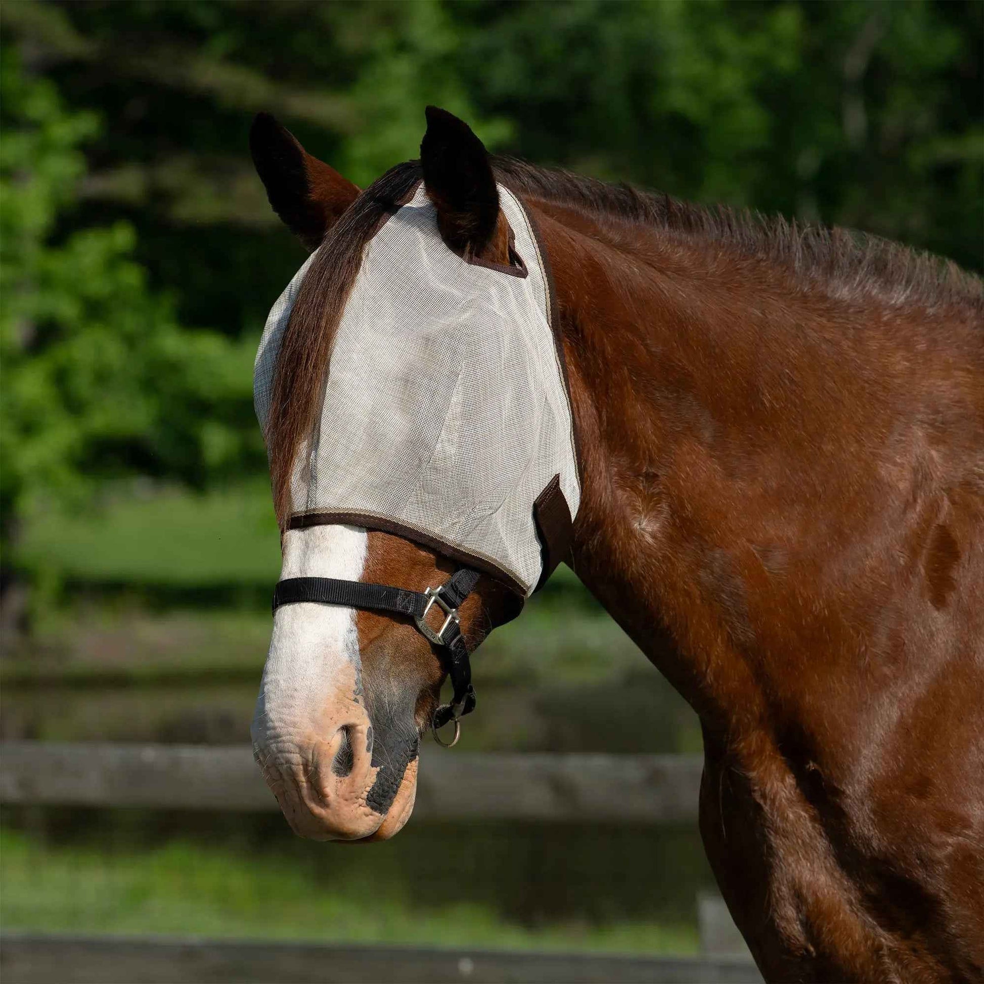 Draft Horse Fly Mask with 73% UV Protection