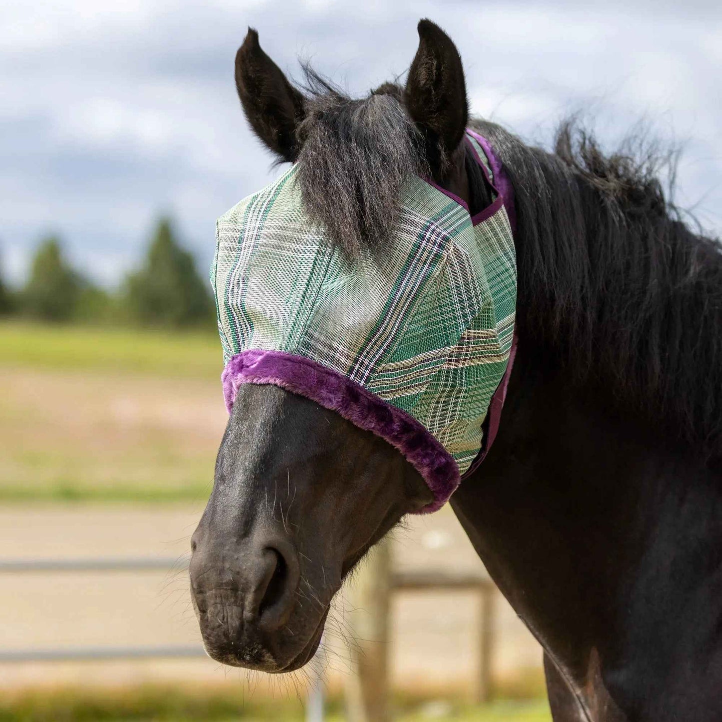 Open Top Draft Horse Fly Mask with Fleece Trim - 73% UV Protection & Comfort