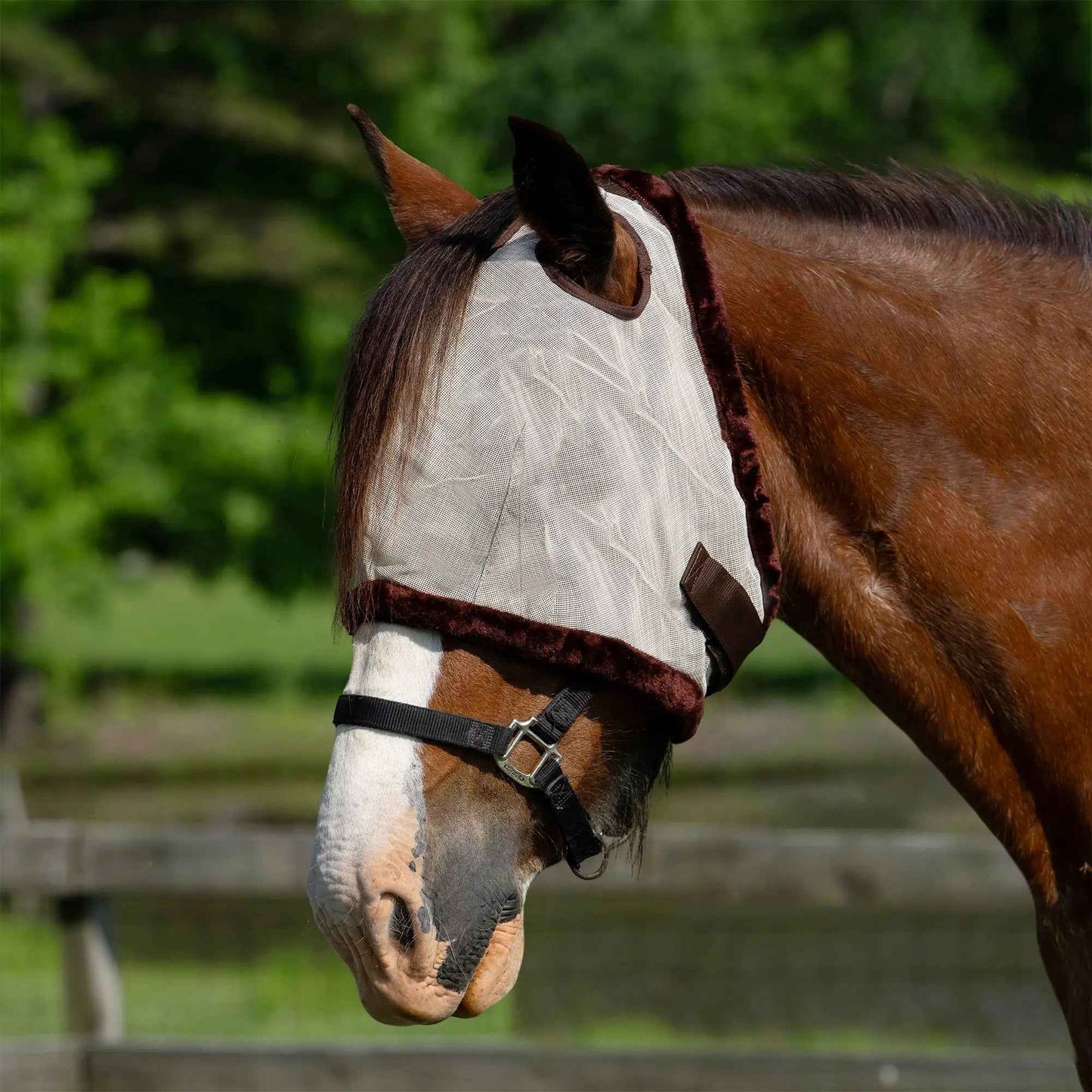 Fleece Trim Draft Horse Fly Mask