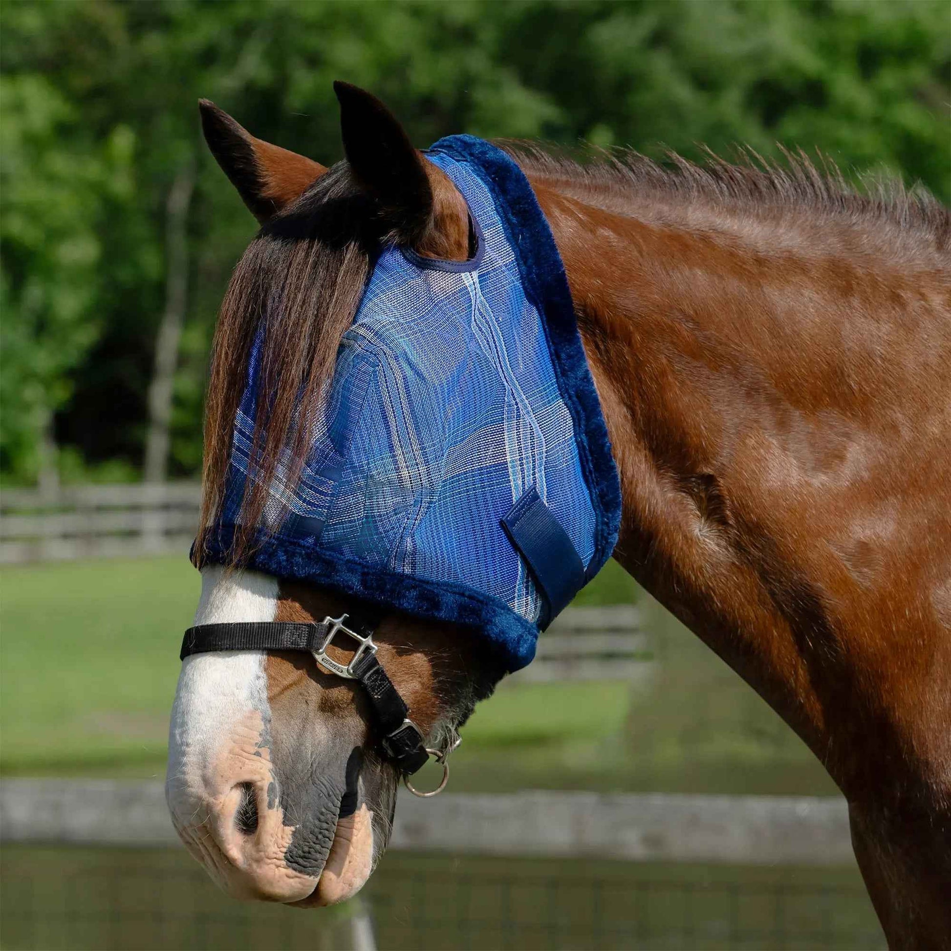 Fleece Trim Draft Horse Fly Mask