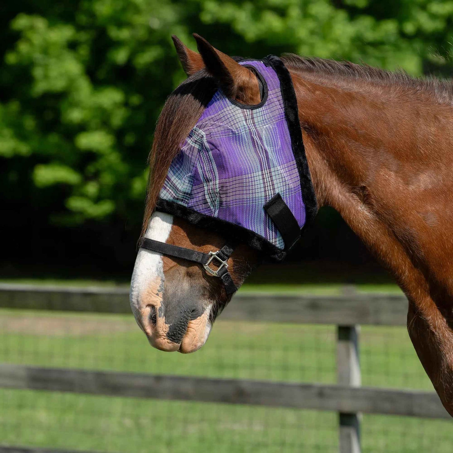 Fleece Trim Draft Horse Fly Mask